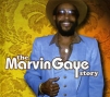 Marvin Gaye. The Marvin Gaye Story (2 CD)