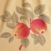 Полотенце "Appletwig", 35 см x 50 см