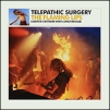 The Flaming Lips. Telepathic Surgery (LP)